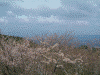 高城山展望台からの眺め(3)