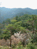 高城山展望台からの眺め(5)/向こうの山に金峯神社が見えました