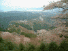 花矢倉展望台からの吉野山の眺め(1)