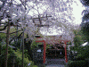 林神社(3)