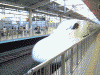 のぞみ38号 東京行き/京都駅