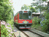 隧道前踏切を通過する箱根湯本行きの電車(2)