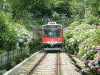 隧道前踏切を通過する強羅行きの電車(2)