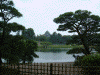 後楽園(8)／岡山城を眺める