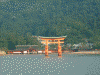 ＪＲ連絡船から厳島神社の大鳥居を望む(5)