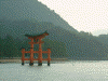 厳島神社(1)