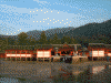 厳島神社(6)