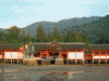 厳島神社(9)