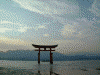 厳島神社(14)