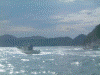 青海島観光船からの眺め(39)