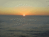 太平洋に沈む夕陽(2)