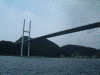 女神大橋(1)