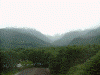 ウィスキー博物館からの眺め(2)/白州の山々