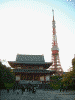 増上寺(1)/東京タワーと共に