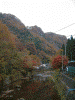 袋田の滝へ向かう遊歩道の紅葉(4)