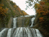 袋田の滝(1)