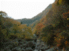 滝見橋から下流を眺める(1)
