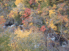 月居山ハイキングコースから眺める紅葉(2)