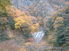 袋田の滝(28)