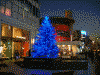BANANA REUBLICのクリスマスツリーとメトロハット・ポスト(1)