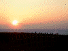 熱川温泉で日の出を迎える(3)