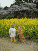 国営昭和記念公園(36)／菜の花と桜と女の子と子犬