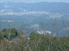 高城山展望所からの眺め(2)/遠くに蔵王堂が見えます