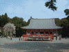 醍醐寺の桜(24)/伽藍