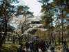 南禅寺の桜(3)