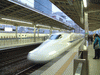 のぞみ3号 博多行き(1)/新横浜駅