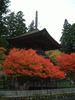 一心院 金輪塔と紅葉