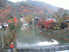 嵐山・渡月橋周辺の紅葉・黄葉(2)
