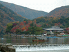 嵐山・渡月橋周辺の紅葉・黄葉(9)