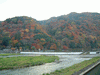 嵐山・渡月橋周辺の紅葉・黄葉(14)