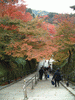 清水寺(30)／音羽の滝へ行く階段の紅葉