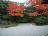 園徳院の紅葉(4)