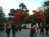 円山公園の紅葉・黄葉(1)