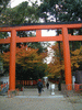 八坂神社の紅葉・黄葉(1)