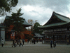 八坂神社の紅葉・黄葉(2)