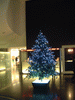 東京シティビュー(8)／クリスマスツリー