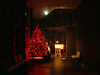 東京シティビュー(12)／クリスマスツリー