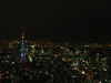 東京タワーの新ライトアップ「ダイヤモンドヴェール・スペシャルレインボー」／スカイデッキ(5)