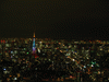 東京タワーの新ライトアップ「ダイヤモンドヴェール・スペシャルレインボー」／スカイデッキ(6)
