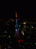 東京タワーの新ライトアップ「ダイヤモンドヴェール・スペシャルレインボー」／スカイデッキ(11)