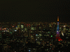 東京タワーの新ライトアップ「ダイヤモンドヴェール・スペシャルレインボー」／スカイデッキ(13)