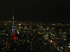 東京タワーの新ライトアップ「ダイヤモンドヴェール・スペシャルレインボー」／スカイデッキ(14)