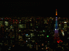 東京タワーの新ライトアップ「ダイヤモンドヴェール・スペシャルレインボー」／スカイデッキ(18)
