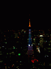 東京タワーの新ライトアップ「ダイヤモンドヴェール・スペシャルレインボー」／スカイデッキ(25)
