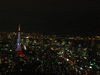 東京タワーの新ライトアップ「ダイヤモンドヴェール・ホワイトダイヤモンド」／スカイデッキ(1)