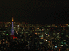東京タワーの新ライトアップ「ダイヤモンドヴェール・ホワイトダイヤモンド」／スカイデッキ(2)